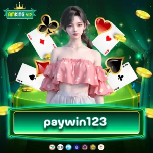 paywin123