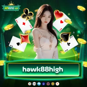 hawk88high